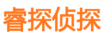 五河侦探社